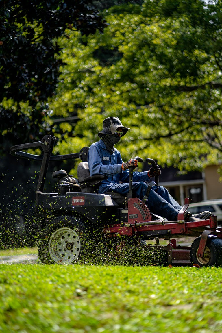 Person on a lawn mower cutting grass in a sunny, green park.